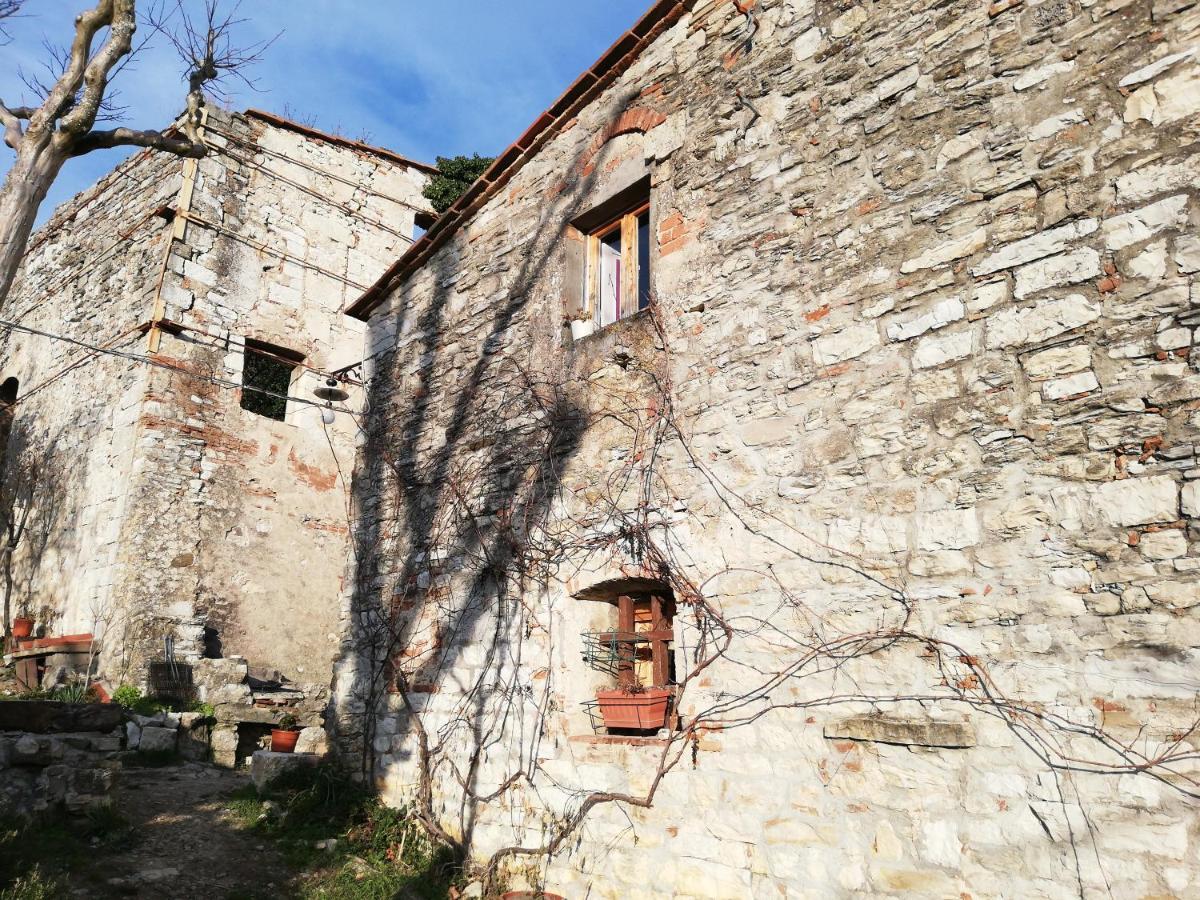 Agriturismo Casamatta Azienda Agricola Calenzano Exterior photo