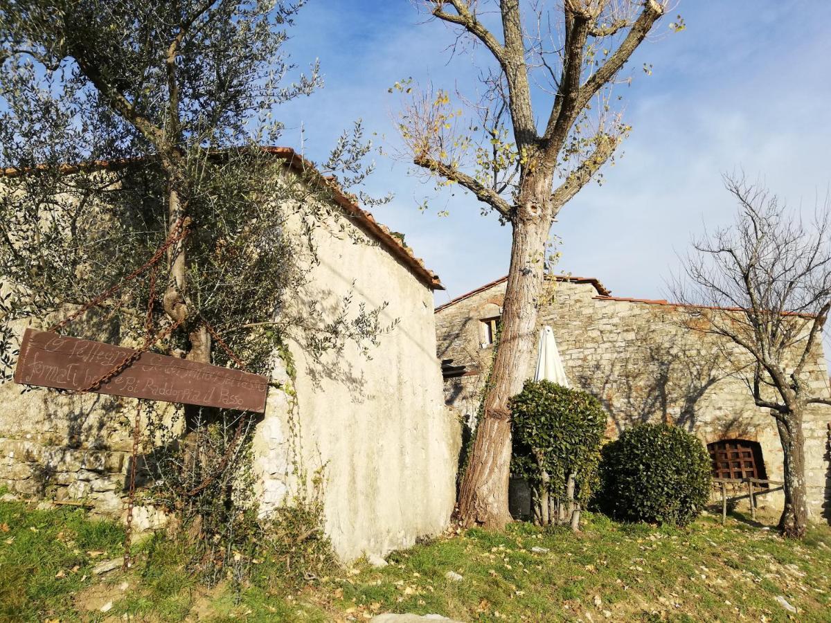 Agriturismo Casamatta Azienda Agricola Calenzano Exterior photo