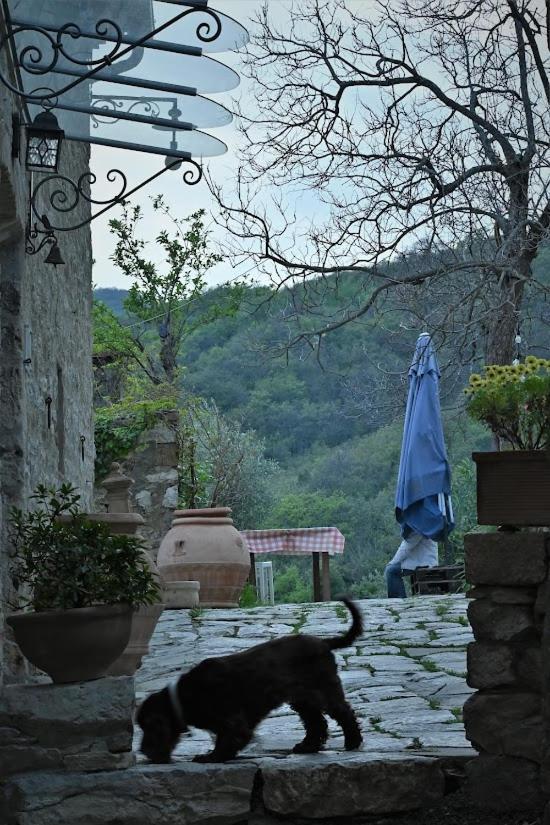 Agriturismo Casamatta Azienda Agricola Calenzano Exterior photo